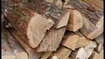 Отборные колотые дрова разных пород от 5м3 от Лесхоза с Полтавской области