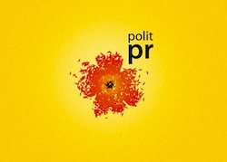 11 октября 2011 года в Киеве начнется обучение в PolitPR