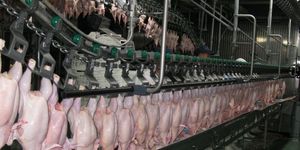 Потребительские цены на курятину остаются стабильно самыми низкими — Союз птицеводов Украины