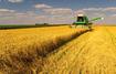 ПриватБанк объявил кредитные каникулы малому агробизнесу 