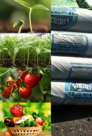 Топ плівка для теплиці Ватан Пластік/Vatan Plastik