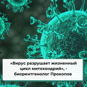 «Вирус разрушает жизненный цикл митохондрий»,  - биорентгенолог Прокопов 