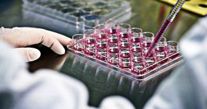 В Японии одобрили первое клиническое исследование по применению индуцированных полипотентных стволовых клеток 