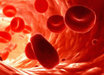 Ученые вырастили кровеносные сосуды при помощи стволовых клеток