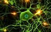 Шизофрению собираются лечить при помощи стволовых клеток