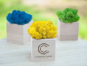 Промо-сувеніри. Кашпо зі стабілізованим мохом