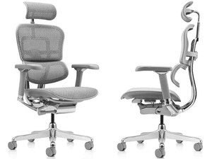 Современное компьютерное кресло Ergohuman Luxury 2 Grey