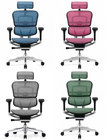 Элитное кресло Ergohuman Luxury 2 с оперативной доставкой