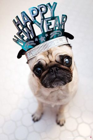 Draft отправляется на зимние каникулы!