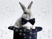 Подарок от Кролика: вкусный и яркий новогодний стол