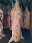Продам  мясо свинины 