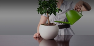 Union Standard Bank запустил продуктовый ряд для физических лиц