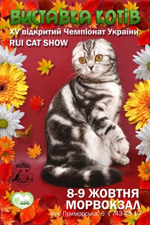 Выставка котов на морвокзале в Одессе 8-9 октября!