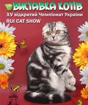 выставка кошек RUI Cat Show в Одессе 29-30 сентября!
