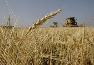 Урожай зерновых на Сумщине почти в два раза больше прошлогоднего