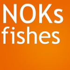 Чергові МедіаВершки від компанії NOKs fishes 