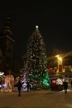 Фестиваль Рождественских елок в Риге 