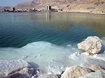 Живое Мертвое море