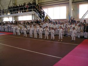 У Черкасах пройшов ІІ Відкритий турнір Молодшої ліги із Традиційного карате 