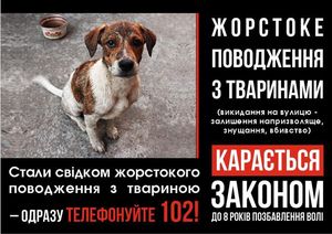 Всесвітній день доброти зібрав допомоги на 6 тисяч гривень для безпритульних тварин Черкащини
