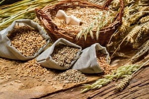 Як уберегти врожай зернових? – радить фахівець