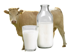Експерт ділиться рецептом,  як черкаським селянам заробити на молоці 