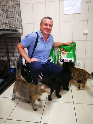 Черкаські благодійники ініціювали унікальну акцію на допомогу безпритульним тваринам