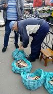 За півтора тижні нересту автомайданівці «наловили» понад 6 кілометрів браконьєрських сіток і вилучили 320 кілограмів «незаконної»  риби