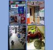 Кава-апарат,  служба таксі та кіт Мурасик: як безпритульні тварини отримали під новорічну ялинку майже 100 кг благодійного корму