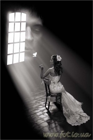 Свадебный фотограф,  фото книга,  слайд-шоу 