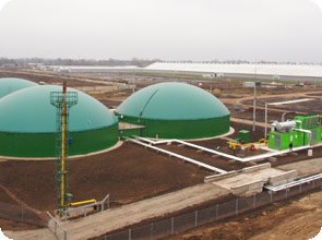 БИОГАЗ: молочнику таки дали зеленый  тариф