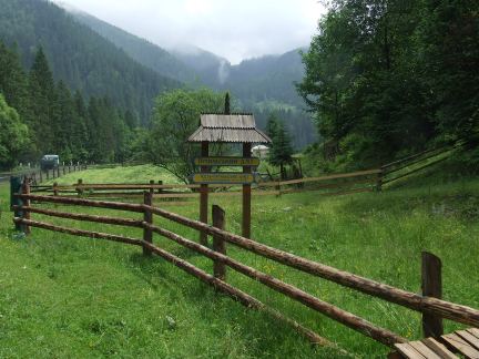  ЛІСІВНИКИ БУКОВИНИ ОТРИМАЛИ БІЛЬШЕ 740 ТИСЯЧ ГРИВЕНЬ ДОПОМОГИ ВІД ПОБРАТИМІВ З ІНШИХ ОБЛАСТЕЙ