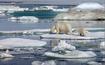 Льды в Северном ледовитом океане растаят через 10 лет