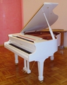 музыкальные инструменты,  купить,  пианино,  рояль,  для проведения различных мероприятий,  продам.