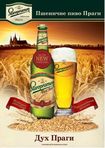 «САН ИнБев Украина» начинает выпуск пива Staropramen Wheat 