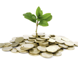 Компания «Домсервис» и «ИРД» откроет еще 10 филиалов