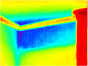 Компания «Домсервис» ЧП ИРД предлагает уникальную услугу