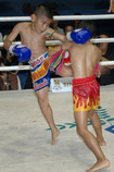 Обучение  тайскому  боксу, кикбоксингу, таэйквон-до. 