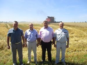 В установах із сільськогосподарським профілем виробництва управління ДПтС України в Полтавській області триває жнивна кампанія