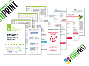 Типография «EUROPRINT»-