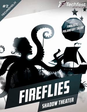 театр теней Fireflies представил Украину в Индии