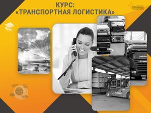 Курс «Транспортная логистика»: профессия с высоким спросом за несколько недель